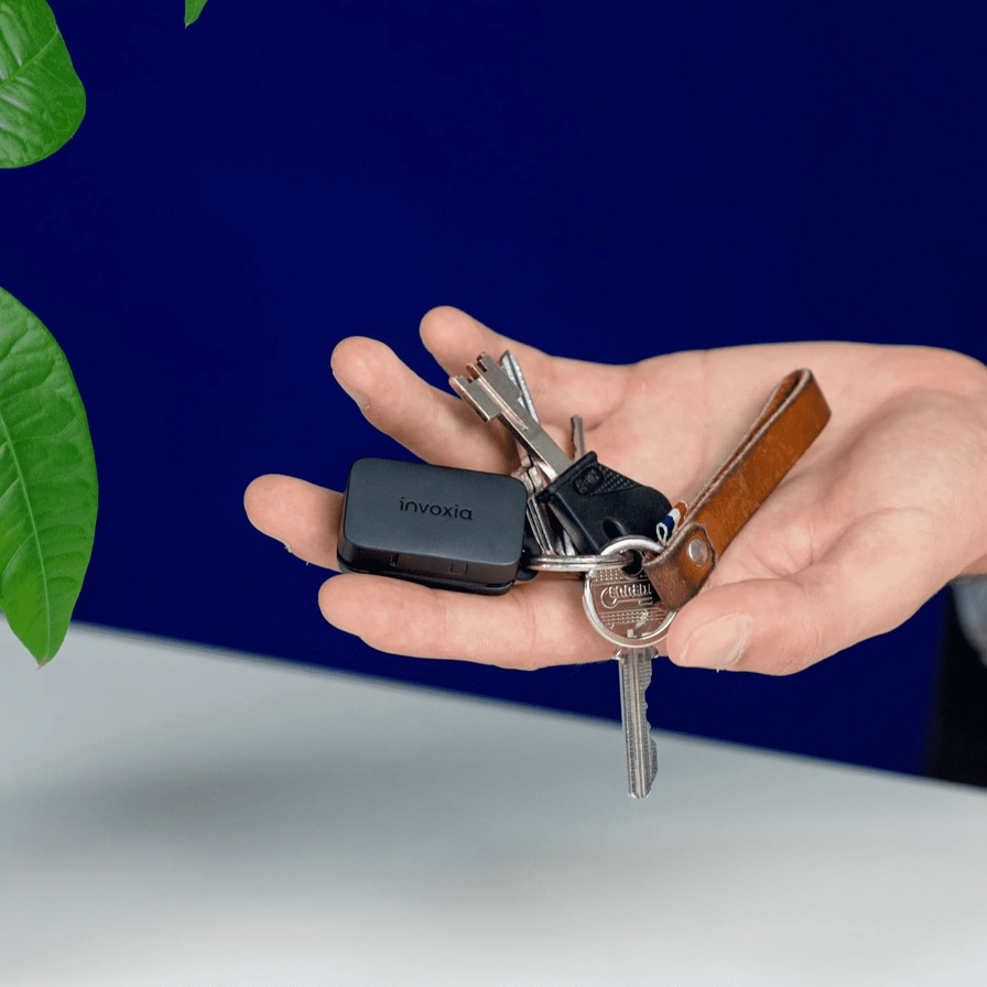 Keychain with a Mini-Tracker in the palm of your hand