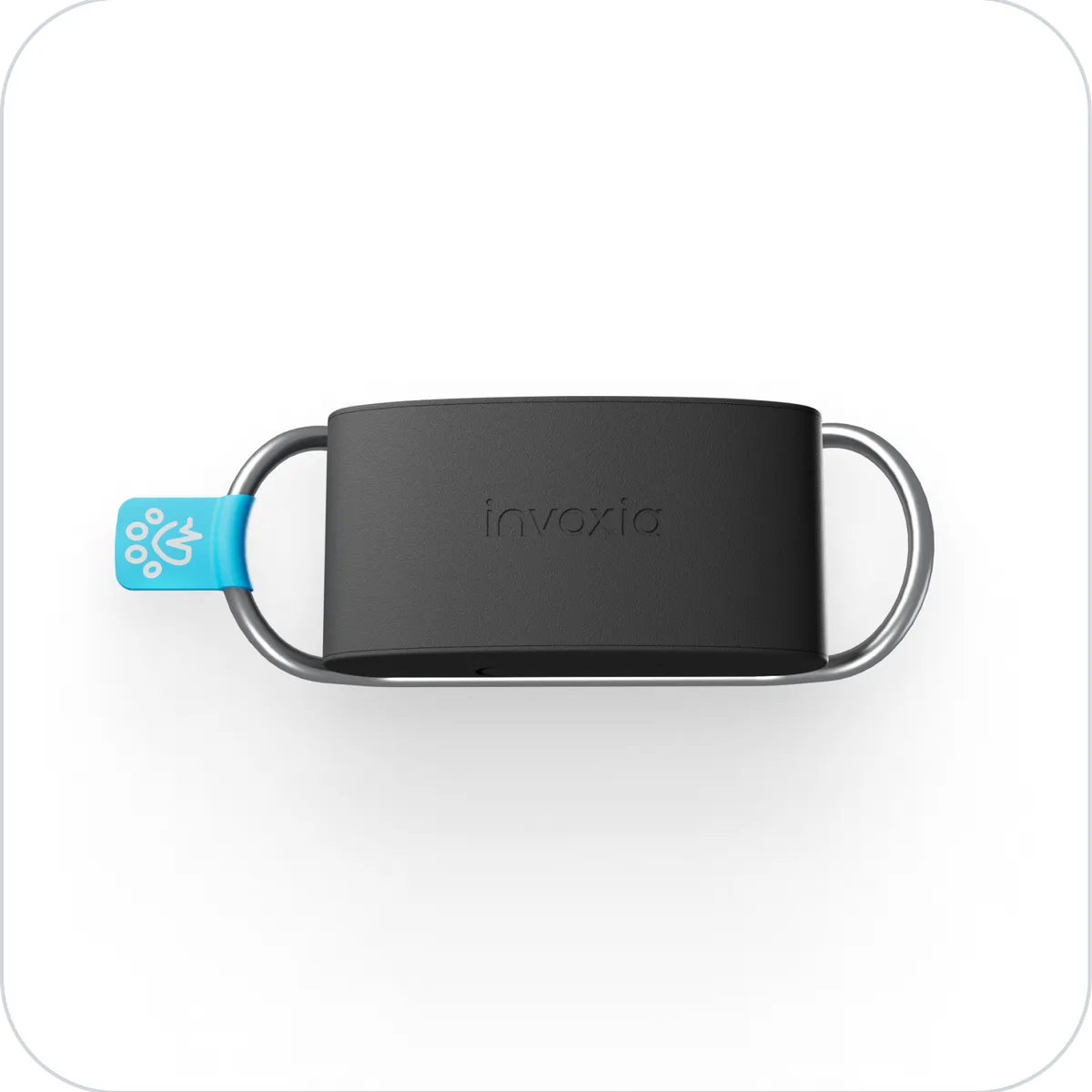 Minitailz vor weißem Hintergrund