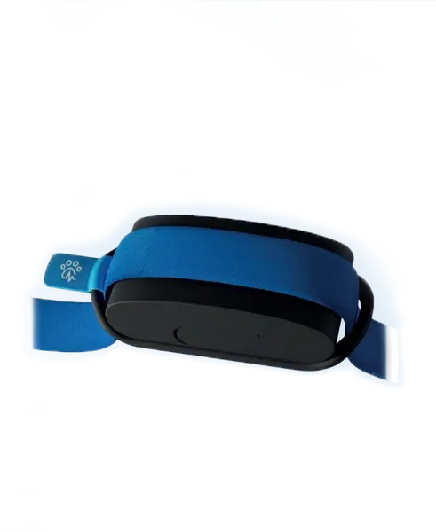 Einfach anzubringender GPS-Tracker für Hunde