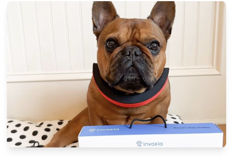 Smart Dog Collar - Invoxia