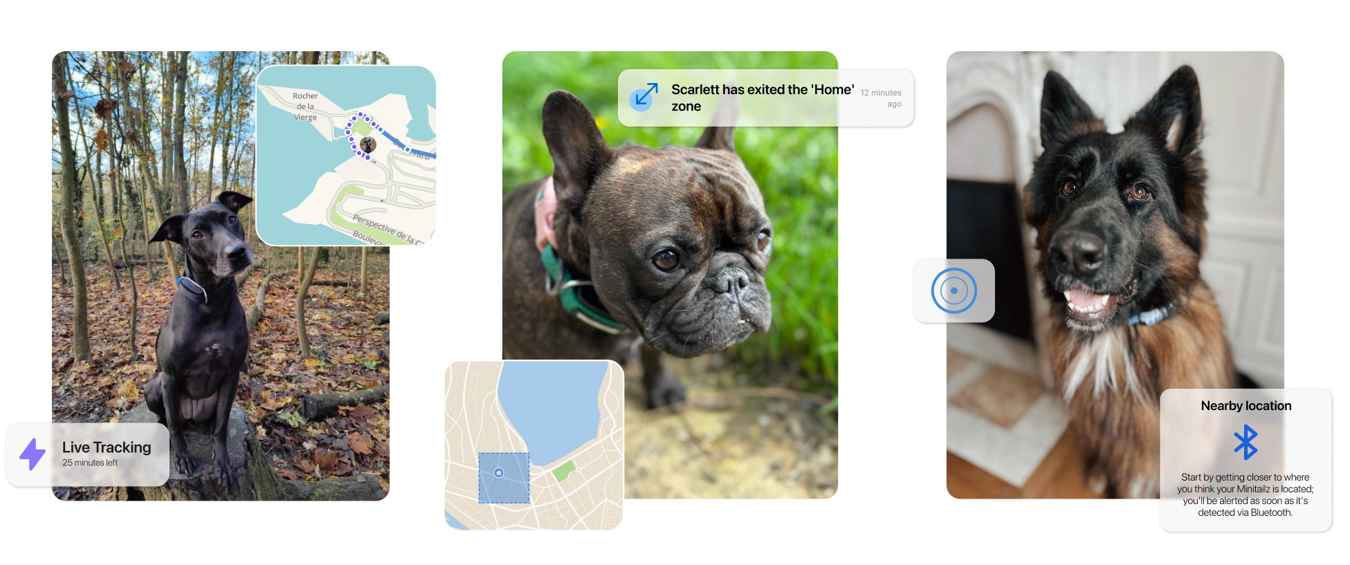 The best GPS tracker for the best of dogs Blog