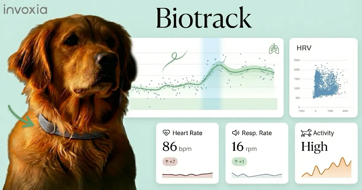 Biotrack - veterinary remote monitoring platform